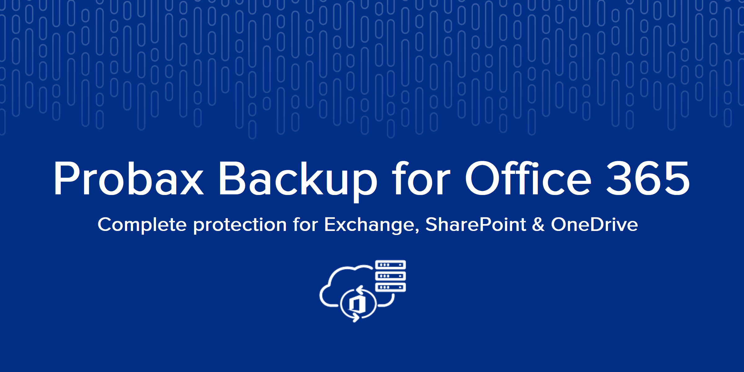 bo365 launch banner 2019